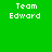 Four pixelated text display 'Team Edward' in white on green, teal, blue, and dark teal backgrounds