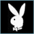 White pixelated rabbit head with long ears and a single black eye on solid black background, rendered in low-resolution digital style.