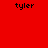 Red background with blue rectangular blocks and black text reading 'tyler' in multiple positions across the image.