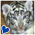 Animals icons for AIM, MSN, MySpace and Yahoo