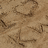 A static pixelated image with a beige and brown color palette showing abstract, irregular dark brown shapes scattered across a light brown background.