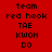 Four identical pixelated text blocks arranged in a , each displaying 'team red hook TAE KWON DO' on solid colored backgrounds
