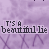 Animated sequence of purple background with repeated text 'IT'S A beautiful lie' and X-shaped patterns, showing pixelated animation changes in the lower sections.