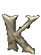 Animated sequence showing a stylized letter K transforming from bare wood to fully covered in green foliage, then shifting to dark brown with white sparkles.
