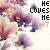 Floral background with repeated text 'HE LOVES ME NOT' in pixelated font, transitioning from full visibility to partial disappearance across frames.
