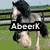 A four- shows horses in various poses with overlaid text labels; top-left horse runs left to right, top-right horse stands, bottom-left horse gallops, bottom-right is blank