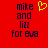 Red background with dark blue text reading 'mike and lizz for eva' and a yellow pixelated heart symbol above 'mike' on the left side.