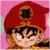 Pixelated image of a character with brown hair and a red cap, set against a pink background.