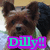 A pixelated dog face with brown and black fur, a white patch on its forehead, and large dark eyes. Below the dog is cyan text "Dilly!!" in a purple rectangular box.