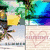 A four- of pixelated images with text and symbols, including a yellow flower, heart, and 'Hurricane #2' text over a circular object