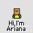 Pixelated character with brown hair and yellow top, standing against light gray background with text "Hi,I'm Ariana" below.