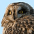 Pixelated close-up of an owl's face with brown and gray feathers, yellow eyes, and a light blue background.