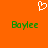 A static image with an orange background features a white pixelated heart symbol at the top center and two identical green pixelated text instances reading "Boylee" below it.
