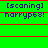 [scanning] harrype68! appears in a of identical frames with red horizontal lines on green background