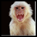 A pixelated monkey with light fur and open mouth appears against a dark background, followed by a yellow smiley face on white.
