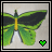 iconhell_yellowcardxx_sexy butterfly