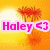 Pixelated image with orange-yellow gradient background, pink text reading 'Haley <3', and red floral shapes.