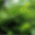 Animals icons for AIM, MSN, MySpace and Yahoo