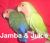 Pixelated static icon of two birds on a red background with partial white text at the bottom.