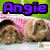 Animated sequence showing three brown rabbits in a pink and white container with purple text reading 'Angie Is the Best' over a green background.