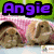 Animated icon shows two brown rabbits in a pink blanket, with purple text reading "Angie Is The Best" changing across frames.