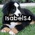 A four- of dogs with overlaid text: a Bernese Mountain Dog, a Golden Retriever, and a Husky in separate , each with bold black text