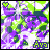 Pixelated animation of a purple and green floral pattern with a heart symbol in the top-left corner, transitioning between two color variations.