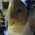 A blonde woman in a white sleeveless top appears in a of repeated images with a background of dark and light patterns