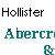 Pixelated text displays 'Hollister' above 'Abercrombie' with a small 'R' symbol in the bottom-right corner on a white background.