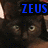 A pixelated image shows a dark-furred animal face with large eyes and blue text reading 'ZEUS' above it on a black background.