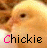chick images with the word 'Chickie' below each, where one letter in 'Chickie' changes color across frames