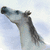 A split-screen image shows a horse's head on the left and pink text on a blue background on the right, with visible pixelation in both sections.