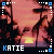 A sunset scene with palm trees and a yellow sun, featuring the name 'KATIE' in blue text at the bottom left corner of each frame.