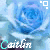 Animated sequence of blue roses with 'Caitlin' text and shifting cyan square icons, each frame showing a different arrangement of the elements.