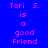 Pixelated text 'Tori S. is a good Friend' displayed in four distinct color combinations across blue, cyan, green, and teal backgrounds.