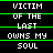 A static digital image displays the phrase "VICTIM OF THE LAST OWNS MY SOUL" in white pixelated text on a black background, separated by green horizontal lines.