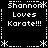 Pixel art displays four identical quadrants with text "Shannon Loves Karate!!!" and decorative borders