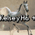 A static image showing four distinct sections: a horse, a dog, and two text labels.