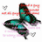 Pixelated butterfly with teal and dark green wings, red accents on top wing, pink and gray background elements including small heart shapes.