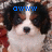 Pixelated dog face with black, white, and brown fur; blue text overlays change across frames.