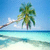 Pixelated beach scene with palm tree, turquoise water, and white sand under blue sky.
