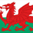 Red dragon on green and white background with bold red text reading 'WELSH DRAGONS WILL ROAR!' in pixelated style.