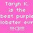 Static image with pink background displaying repeated text about 'Taryn K.' and purple lobster references in white pixelated font.