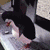 Animated penguin with black head and back, white belly, and orange beak and feet stands on a textured surface, shifting posture across frames.
