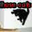 Red text reads 'those cats were as fast as lightning' above four black cat silhouettes in a , each cat in a different running pose on a white background