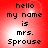 Red background with pixelated text reading 'hello my name is mrs. Sprouse' in four identical arranged in a