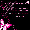 Black background with pink text and butterflies, displaying sequential text changes in a