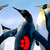 Animated sequence of penguins with changing colored smiley face icons on their chests against a blue sky background.