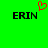Green background with two black 'ERIN' text blocks and a red pixelated heart above the left text block.