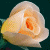 A pixelated flower icon with a green background displaying 'Original Icons .com' in bright green text.